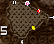 5昼