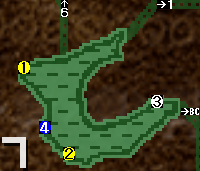 7昼